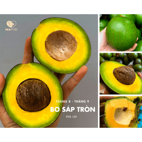 Bơ sáp tươi