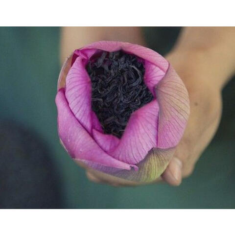 Trà ướp sen Tây Nguyên