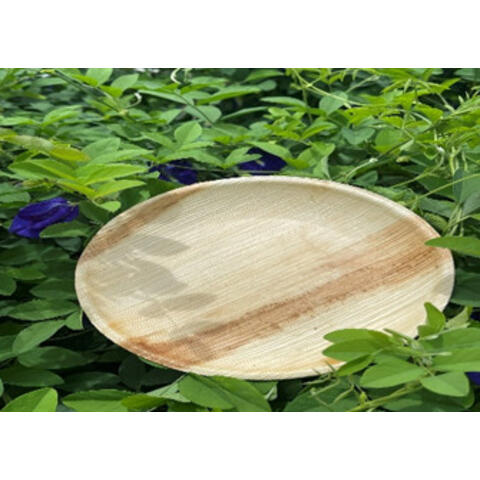 đĩa tròn mo cau 200x20