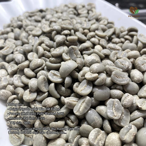 Nhân Xanh Cà Phê Arabica Cầu Đất